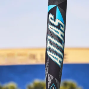 2026 demarini omega bbcor baseball bat (copy)