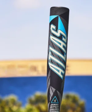 2026 demarini omega bbcor baseball bat (copy)